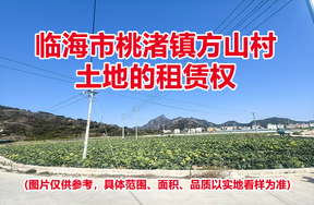 临海市桃渚镇方山村土地的租赁权